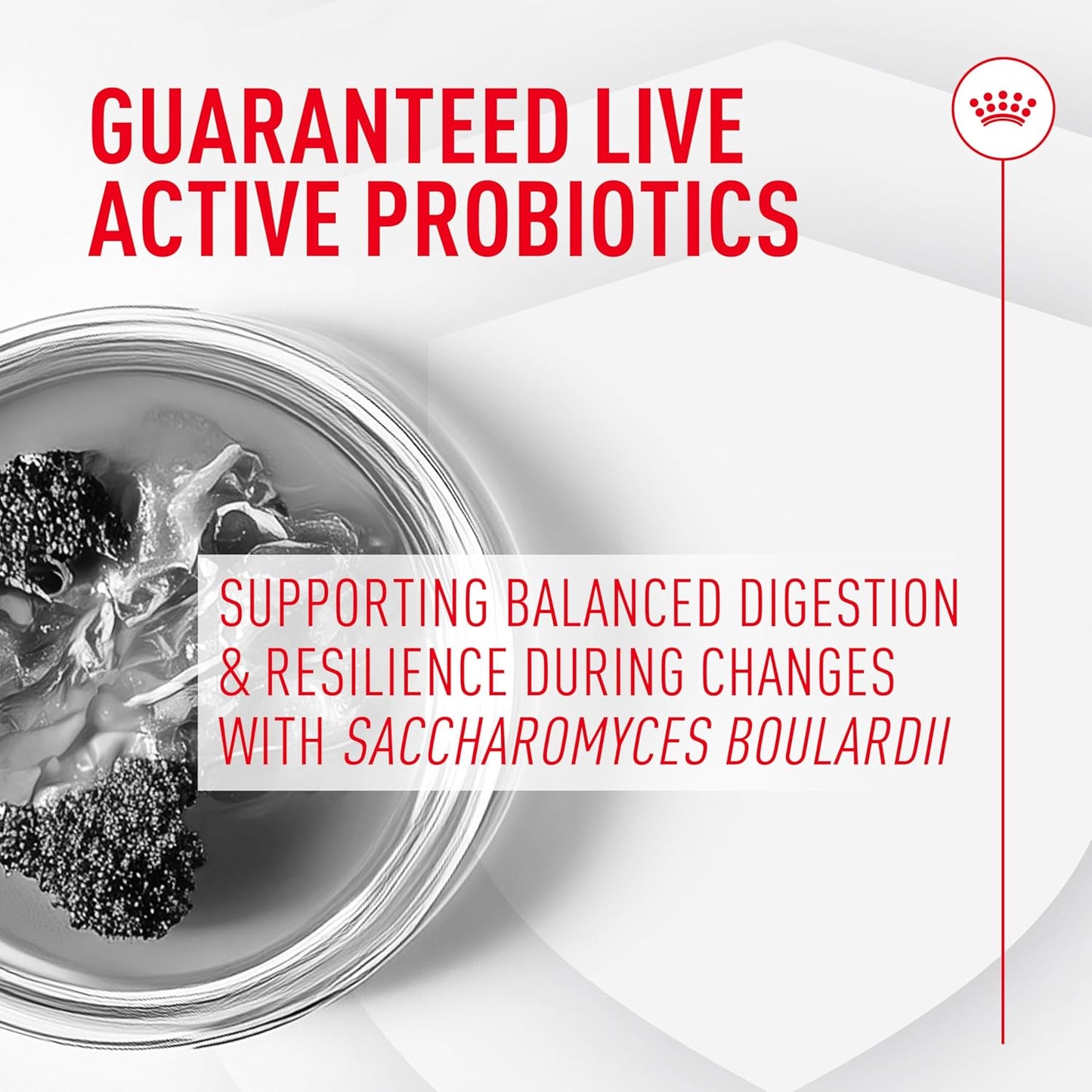 Royal Canin Probiotics for Dogs Digestive and Immune Health Powder Supplement for Canines of All Ages, 30 Count