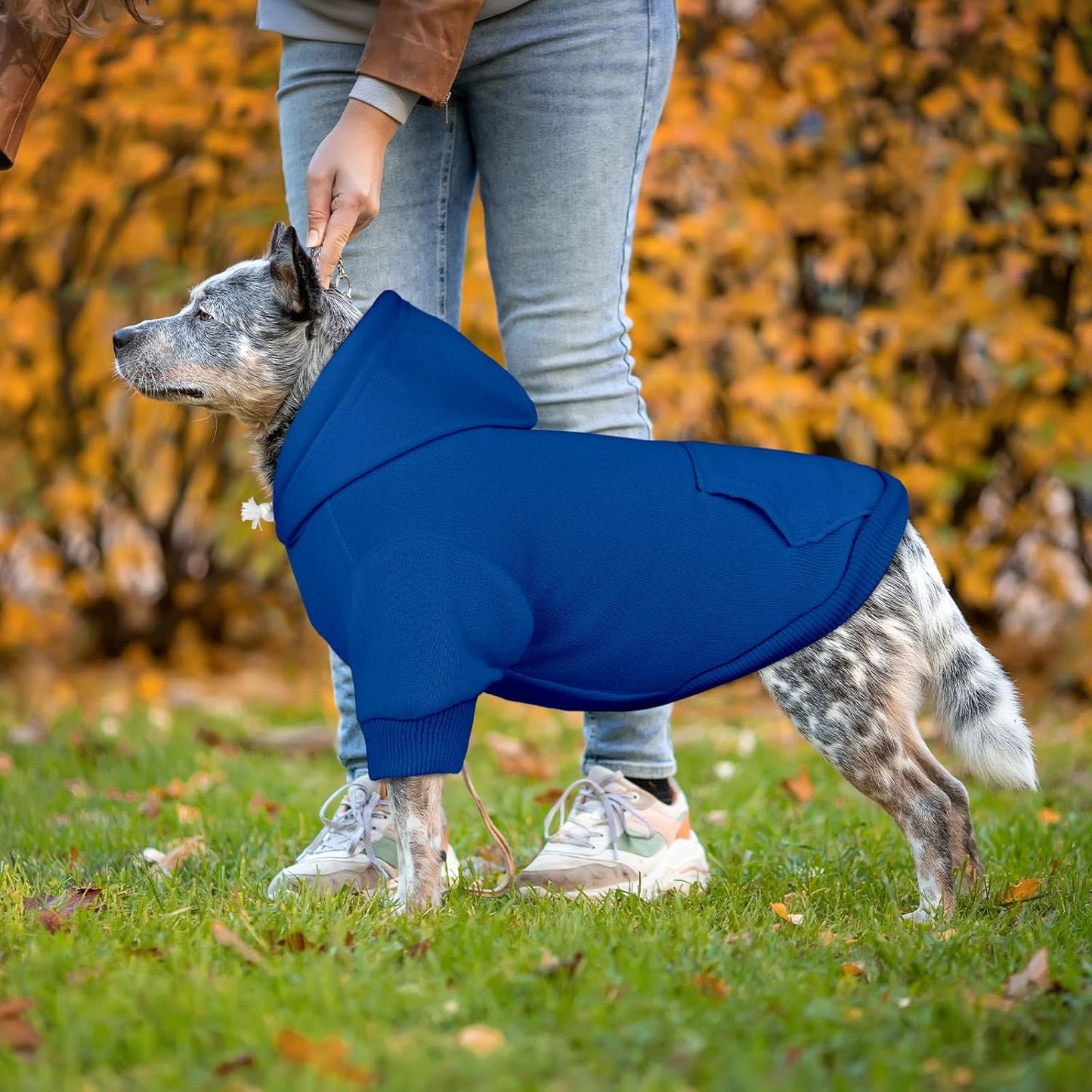 Dog Sweaters for Large Dogs Pet Sweater Solid Soft Brushed Fleece Dog Hoodie Clothes Pet Hoodie Sweatshirt with Pocket(Blue-XXL)