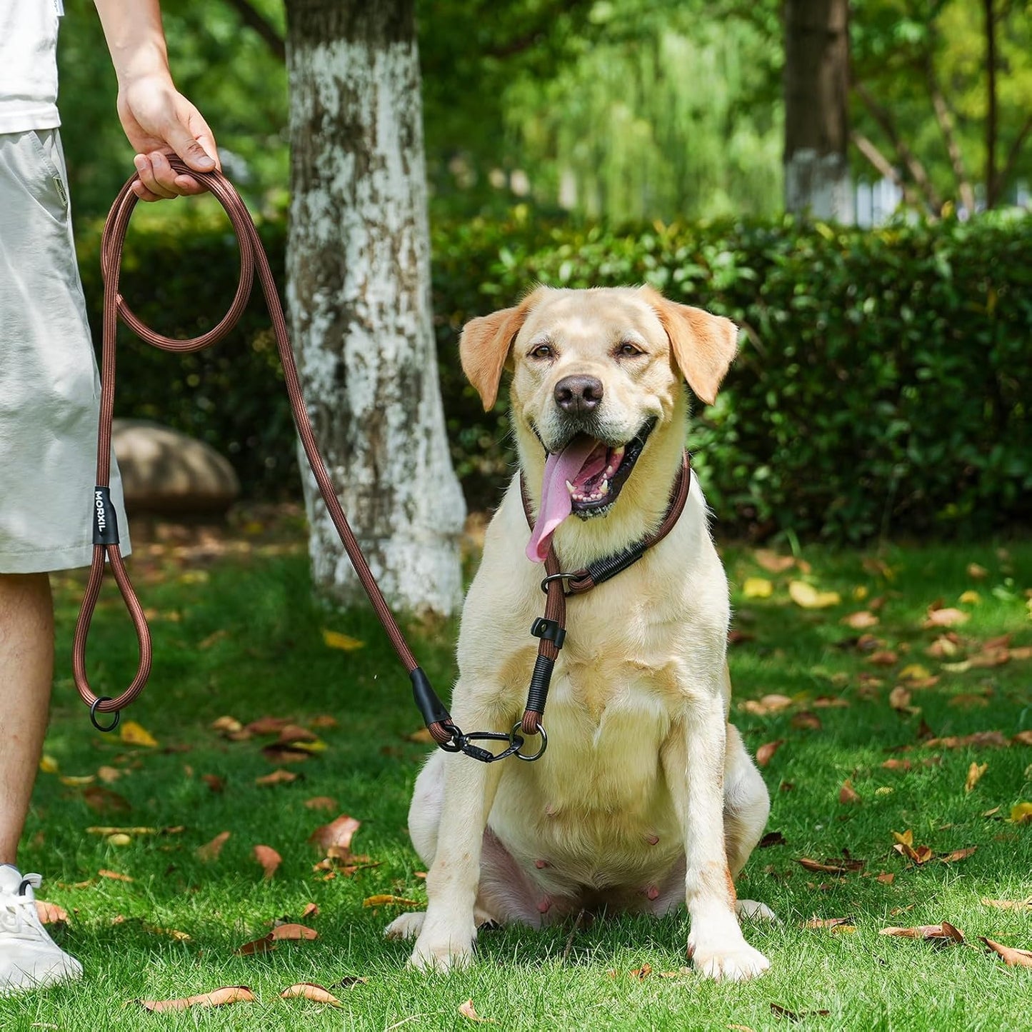 Rope Dog Leash, 6 Foot Heavy Duty Dog Leash with Aviation Aluminum Auto Locking Carabiner, Strong Nylon Pet Lead for Small, Medium, Large Dogs (Brown, 6FT)