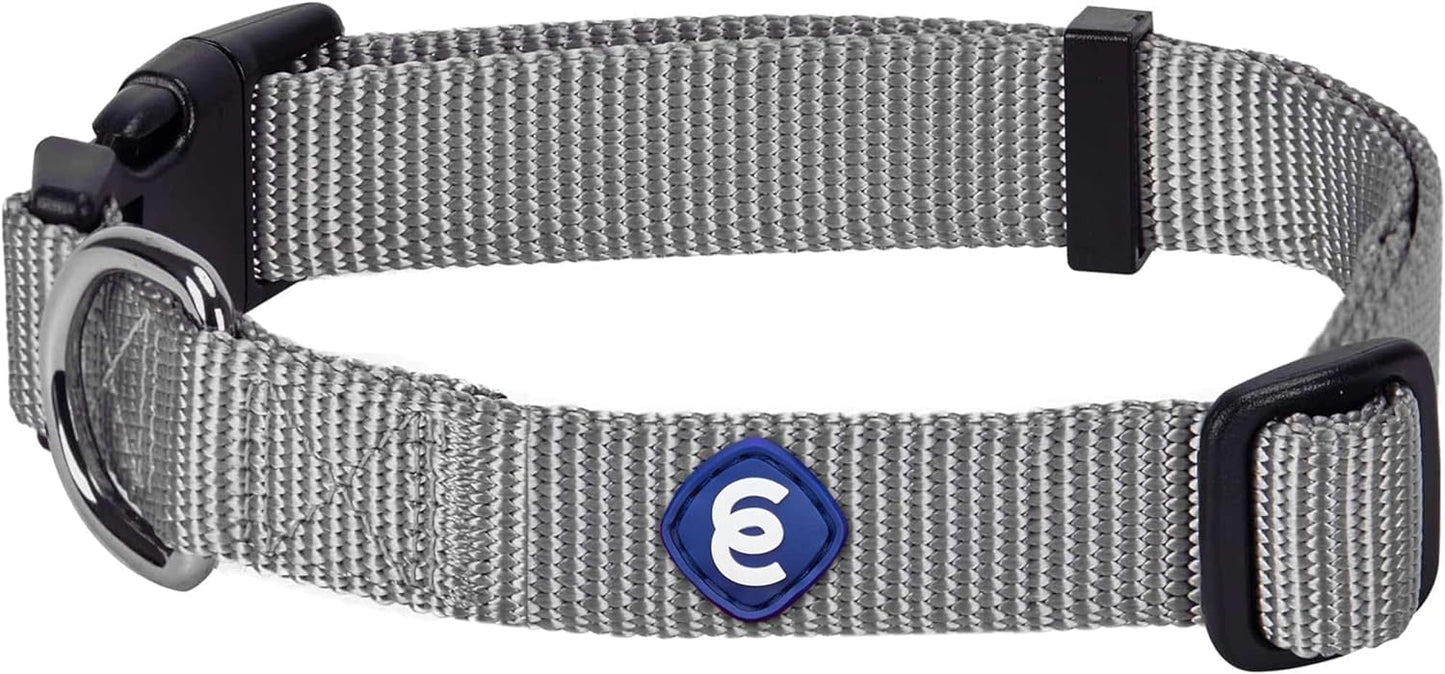Blueberry Pet Essentials Medium Dog Collar in Flint Gray | Adjustable & Eco-Friendly Durable Nylon Strap | Classic Collar for Medium Dogs, Boy & Girl Pets