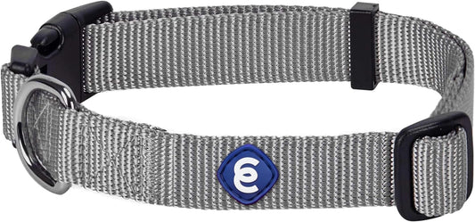 Blueberry Pet Essentials Medium Dog Collar in Flint Gray | Adjustable & Eco-Friendly Durable Nylon Strap | Classic Collar for Medium Dogs, Boy & Girl Pets