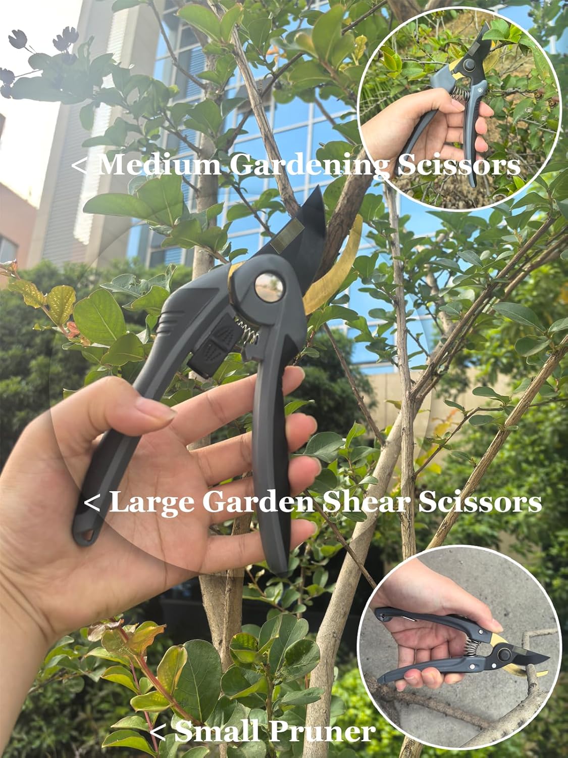 4 Piece Gardening Scissors Folding Saw and Pruner Set Sharp Hand Garden Clippers Set with Folding Pruner Saw