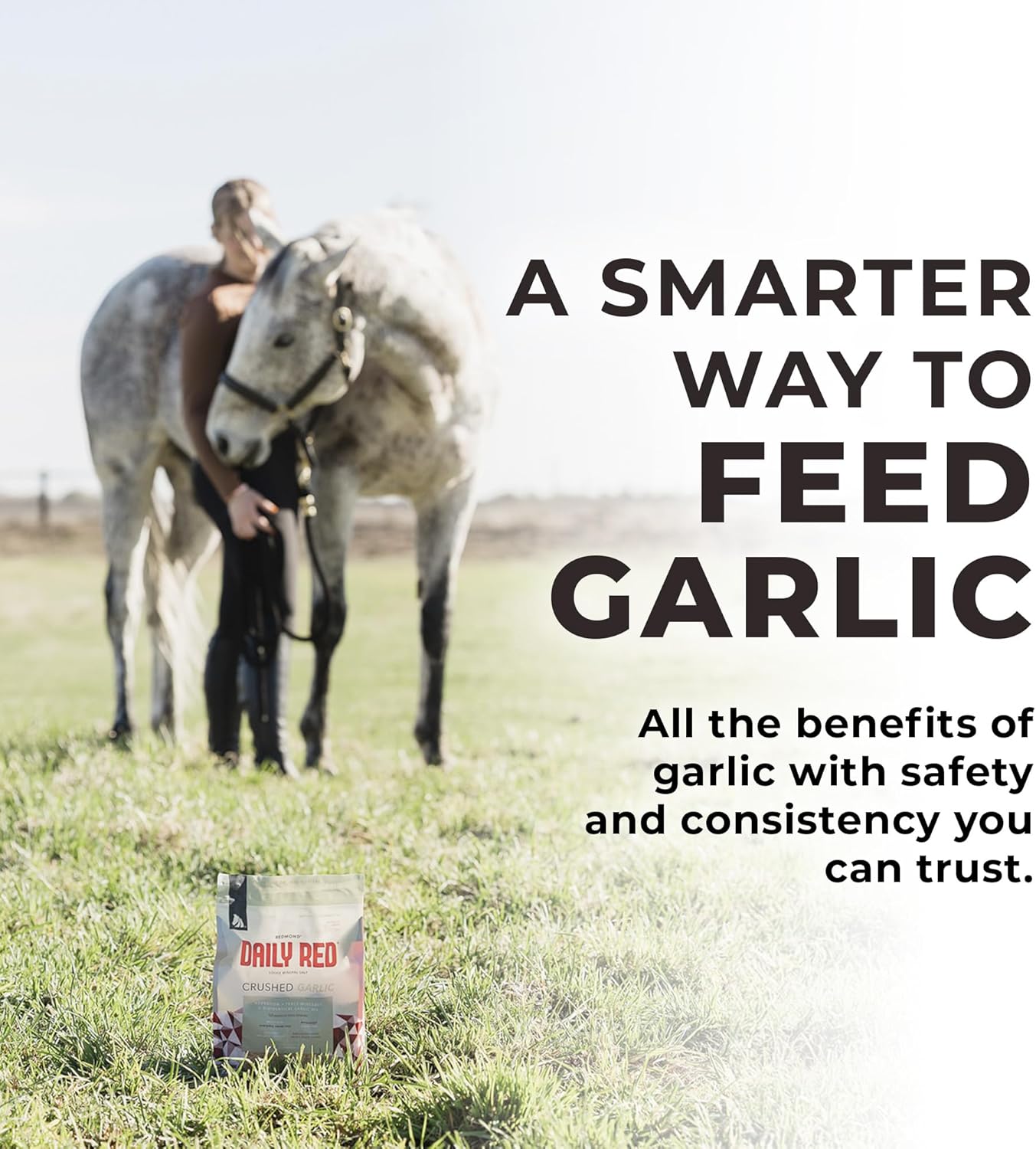 Daily RED Crushed Garlic - Mineral Supplement for Horses (25 LB Garlic)