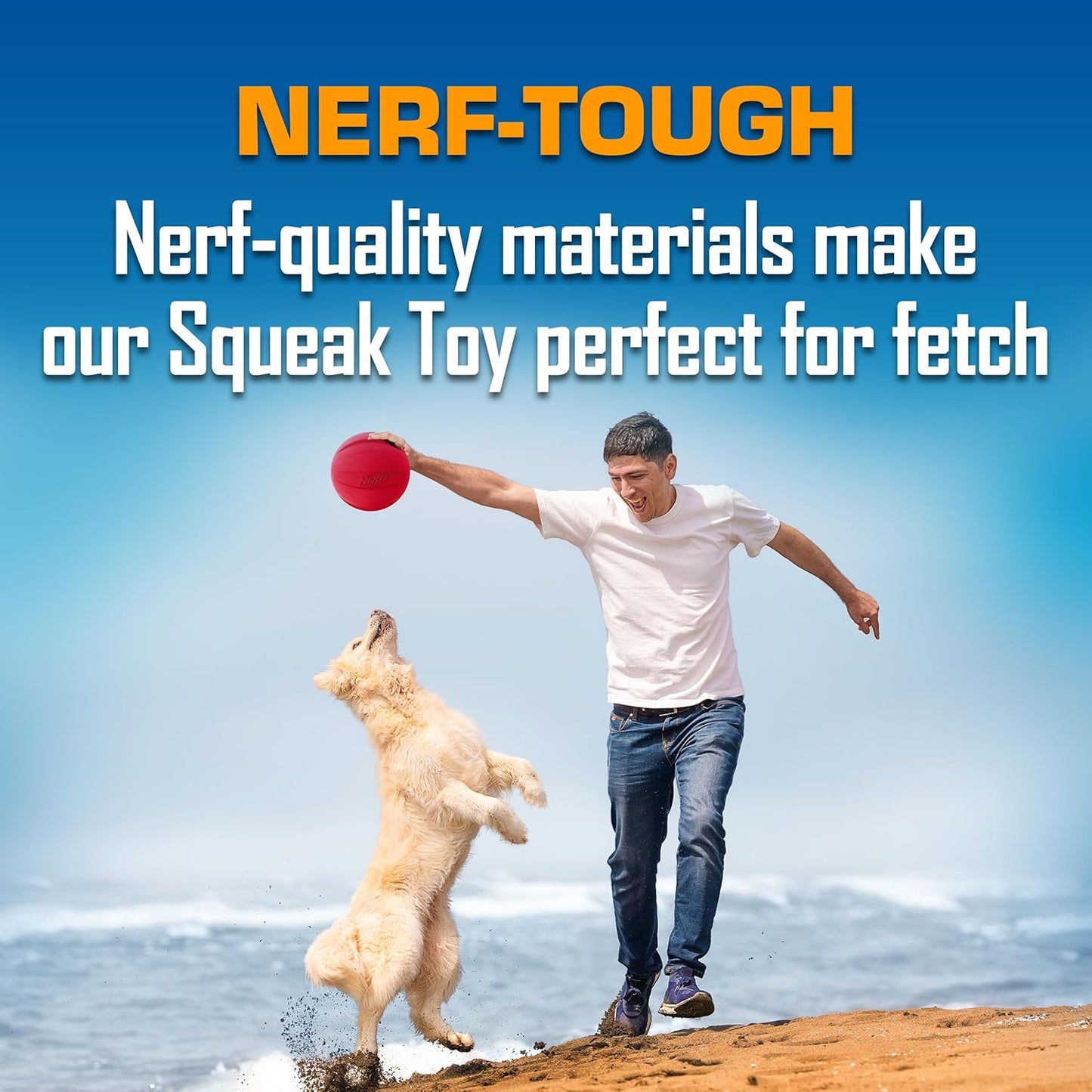 Nerf Dog Classic Squeak Ball Outdoor Dog Toys, 3.8 Inch Dog Ball Fetch Toy, Squeaking Toy for Medium and Large Breeds, Green/Red, 2 Count