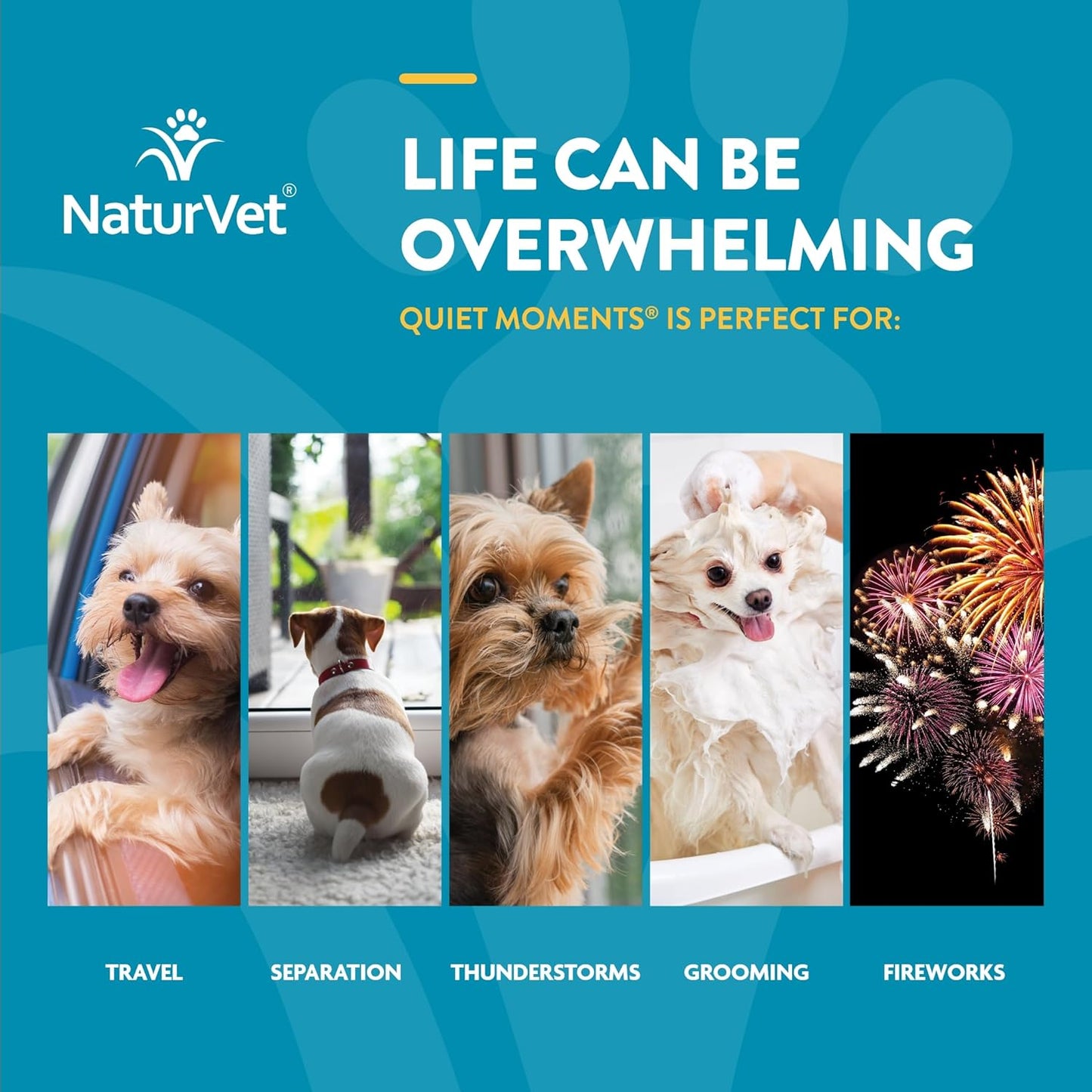 NaturVet Quiet Moments Calming Dog Supplement, Dog Soft Chews with Melatonin to Help Reduce Stress from Storms, The Vet, Fireworks, and Travel, Bacon and Chicken Flavored Pet Supplement, 65 Count