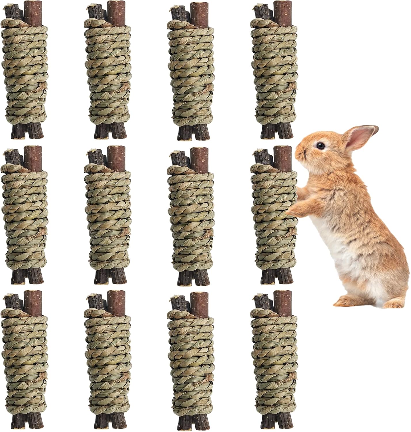 Fhiny 12 PCS Guinea Pigs Chew Toys, Natural Apple Branch Seagrass Molar Sticks for Teeth Bunny Chew Toys Cage Accessories for Guinea Pigs Rabbit Bunny Hamster Chinchilla