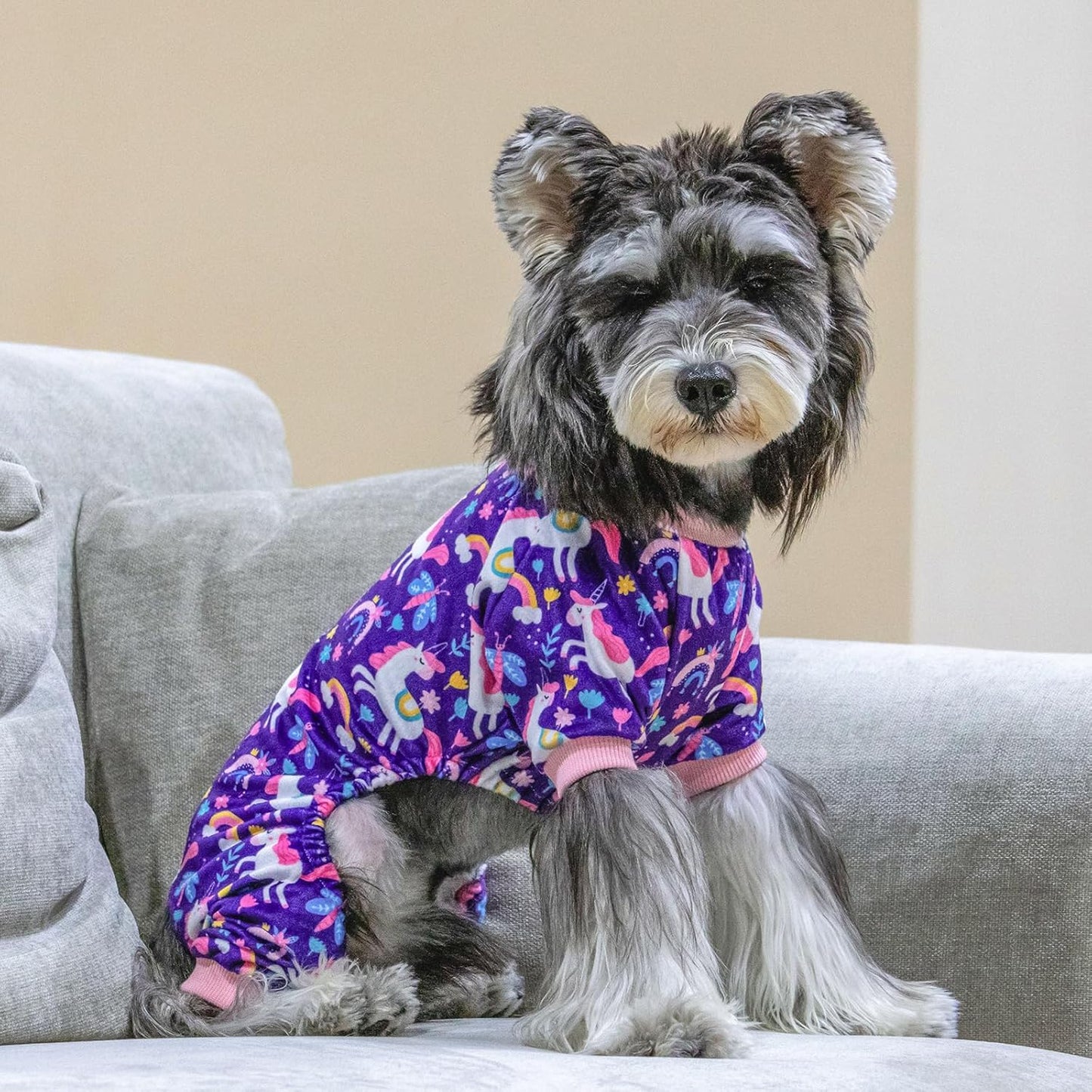 CuteBone Dog Halloween Pajamas Puppy Onesies Small Dogs Soft Pjs Coat Cat Apparel Comfy Pet Christmas Clothes Outfit Doggie Bodysuit P291L