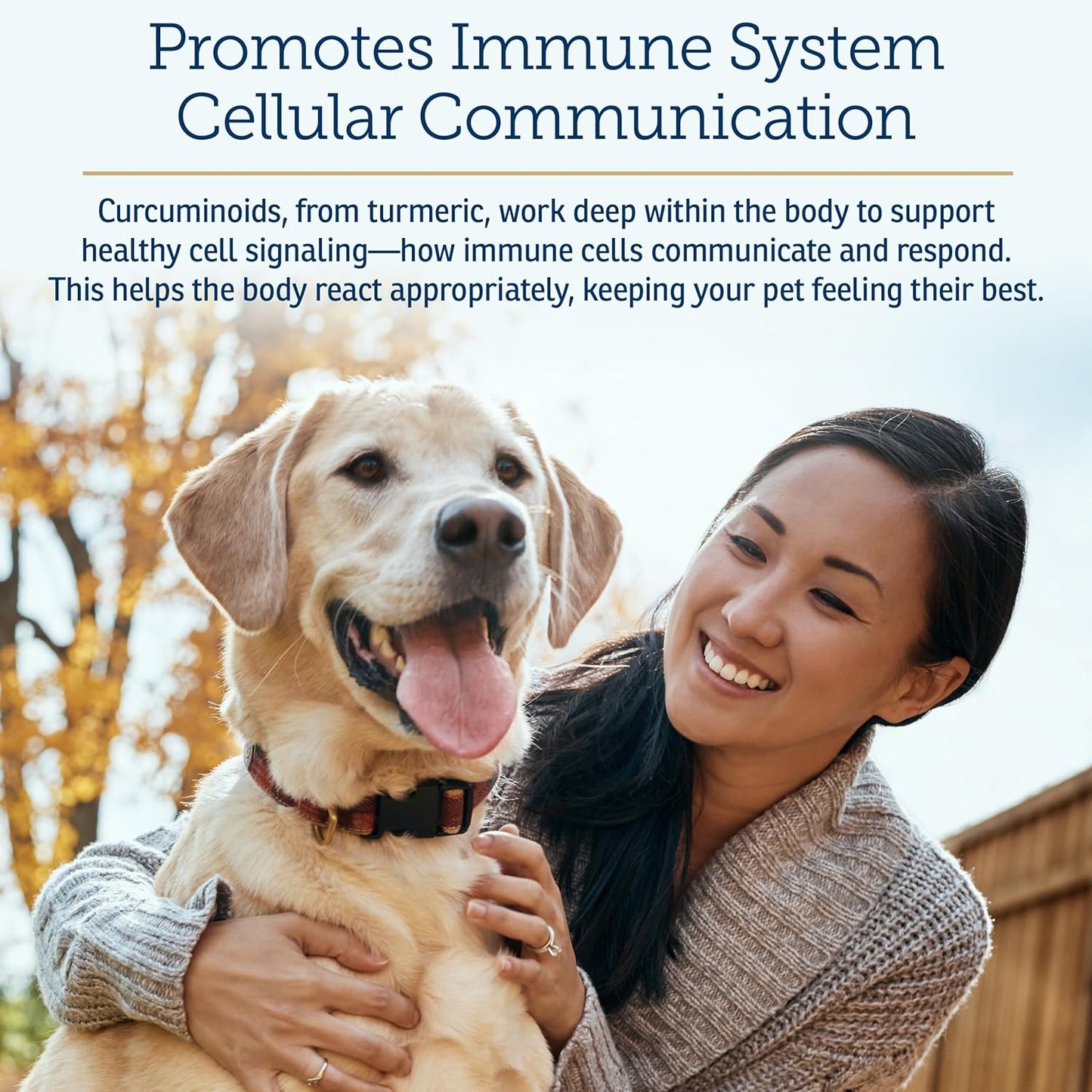 Rx Vitamins CurcuWIN - Curcumin for Dogs & Cats - Vitamins and Supplements, Allergy Relief - Provides Immune Support & Aids Digestive Support - Joint Supplement - 90ct