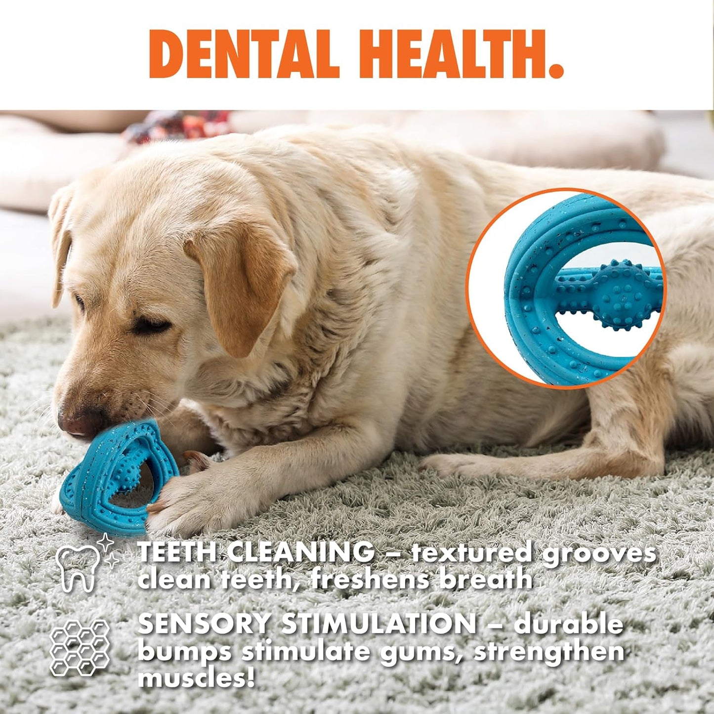 Max Fusion with Nike Grind, Arlee Phoneix Dog Toy, Chew Toy for Play, Fetch, Tug, M