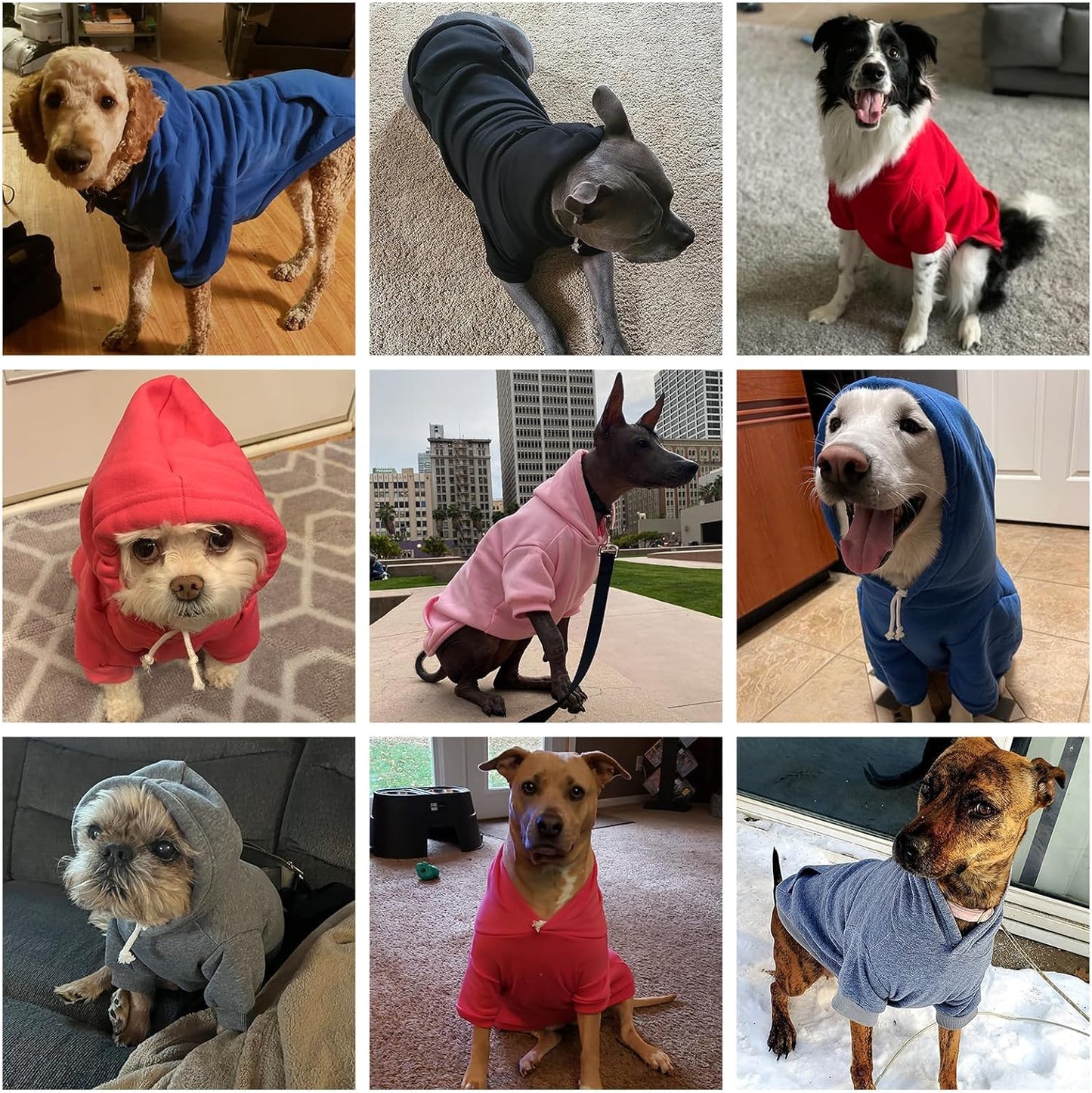 KOOLTAIL Basic Dog Hoodie - Soft & Warm Dog Hoodie Sweater with Leash Hole and Pocket, Dog Winter Coat, Cold Weather Clothes Sweatshirt for Small Medium Large Dogs Puppy Cat Boys Girls Green L