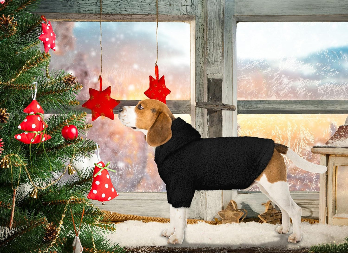 Fuzzy Dog Sweaters for Small Dogs Dog Hoodie Pet Clothes Warm Soft Cozy Coats Hooded Sweatshirt Fleece Small Pet Hoodies Sweater(Black-S)