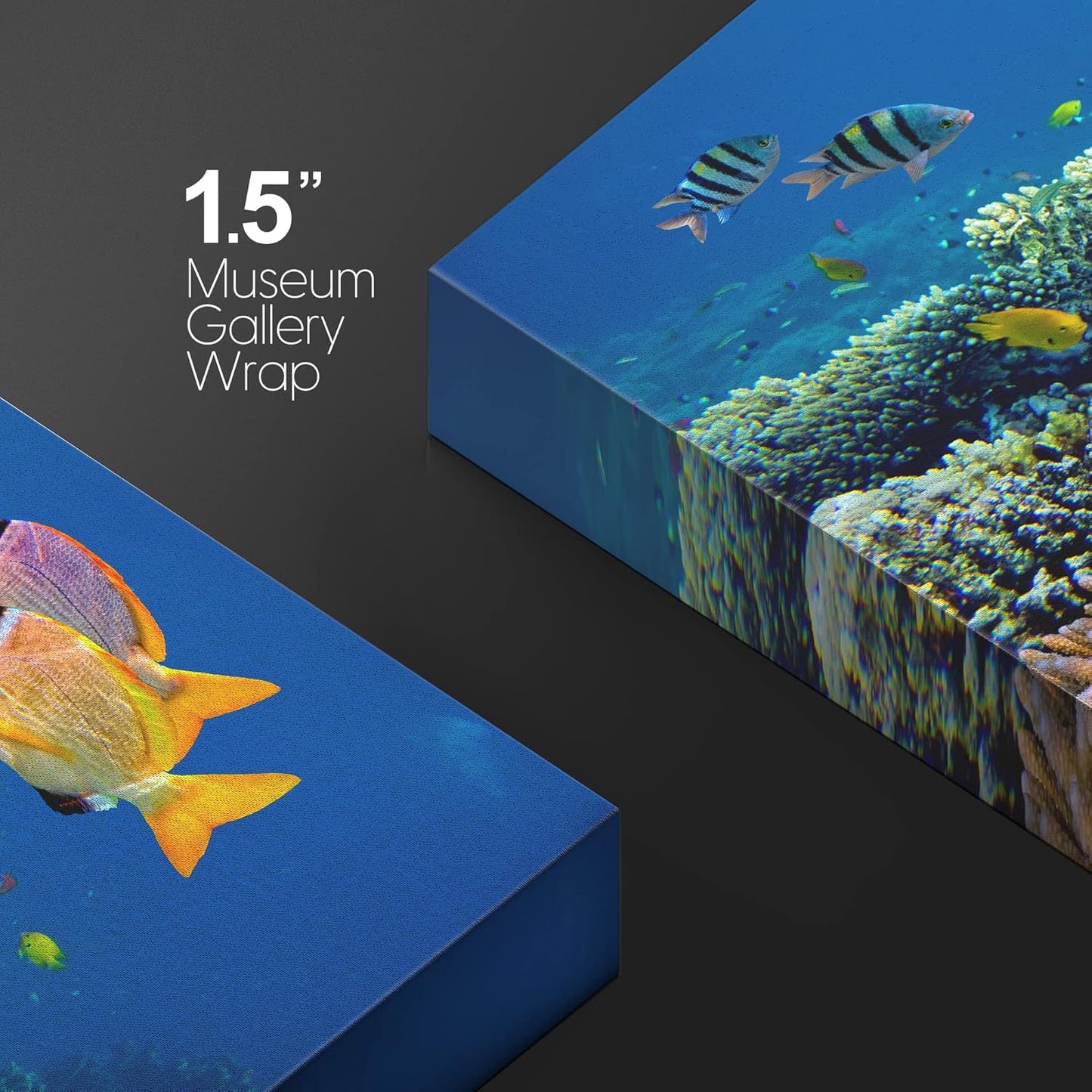 wall26 Canvas Print Wall Art Vibrant Coral Reef Underwater Panorama Nature Animals Photography Realism Rustic Scenic Landscape Wilderness Earth Colorful for Living Room, Bedroom, Office - 16"x24"