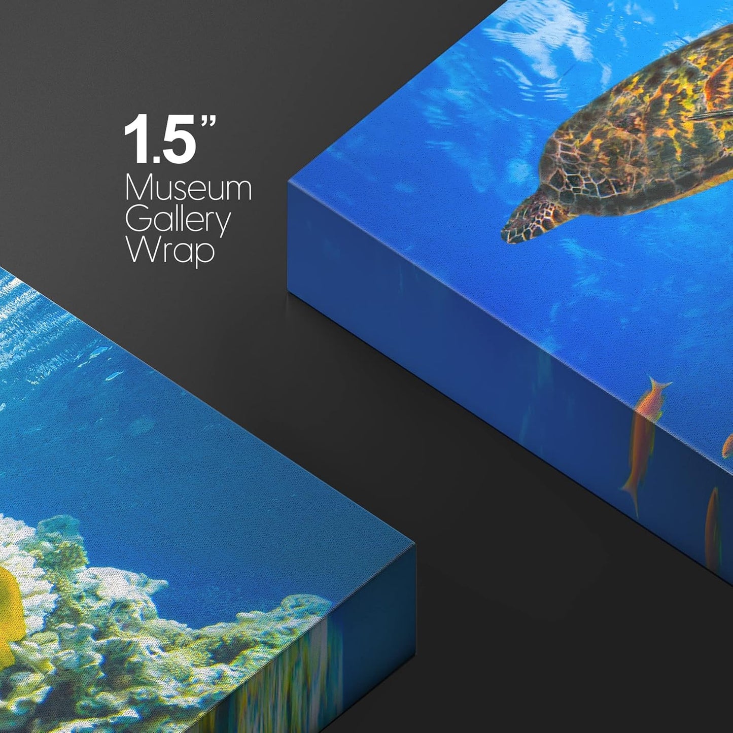 wall26 Canvas Print Wall Art Vibrant Neon Underwater Turtle, Reef & Fish Nature Animals Photography Realism Rustic Scenic Landscape Wilderness Colorful for Living Room, Bedroom, Office - 12"x18"