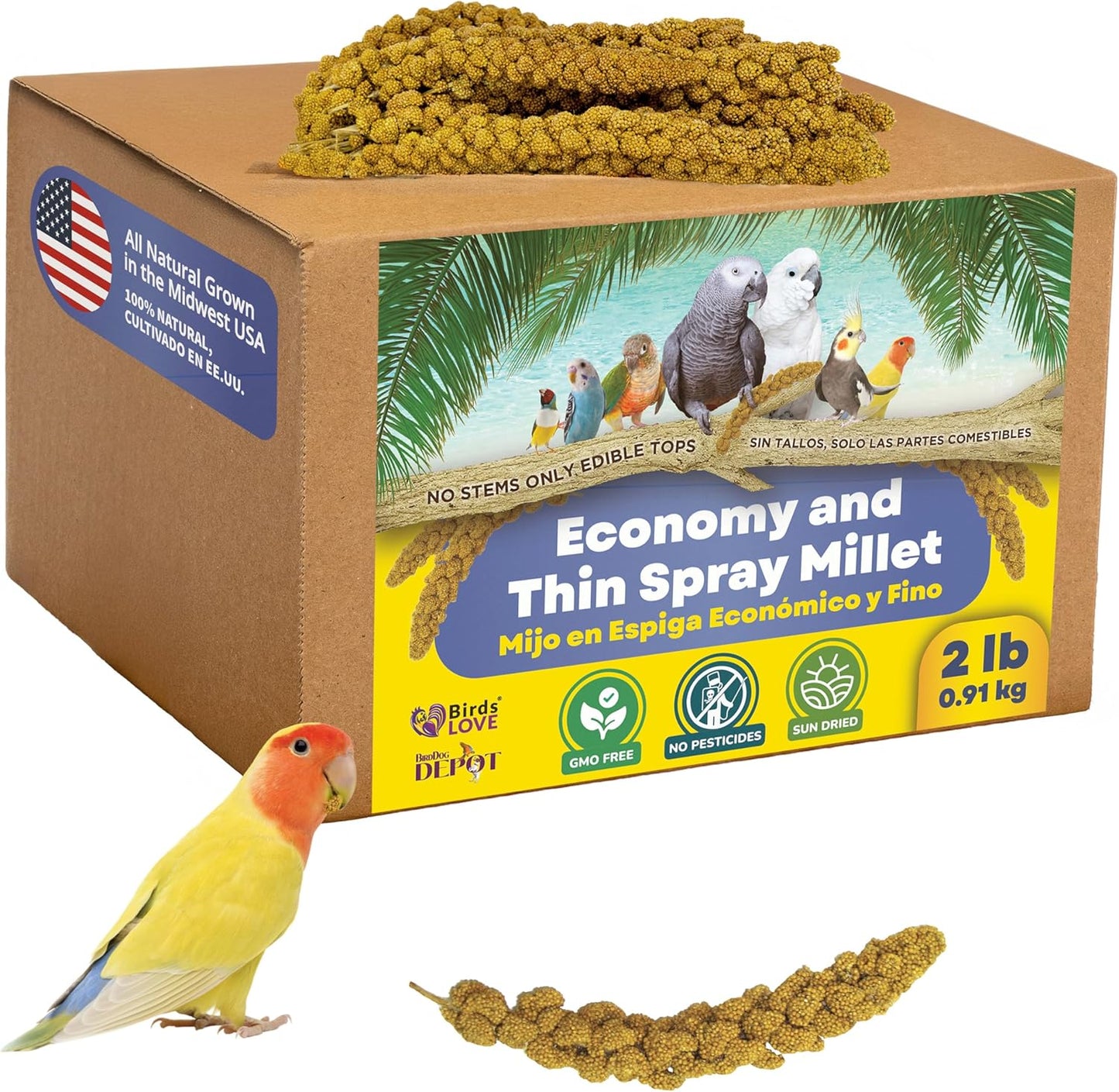 Birds LOVE Economy & Thin Special Spray Millet GMO-Free (No Stems Only Edible Tops) for Birds Cockatiel Lovebird Parakeet Finch Canary All Parrots Healthy Treat - 2lbs
