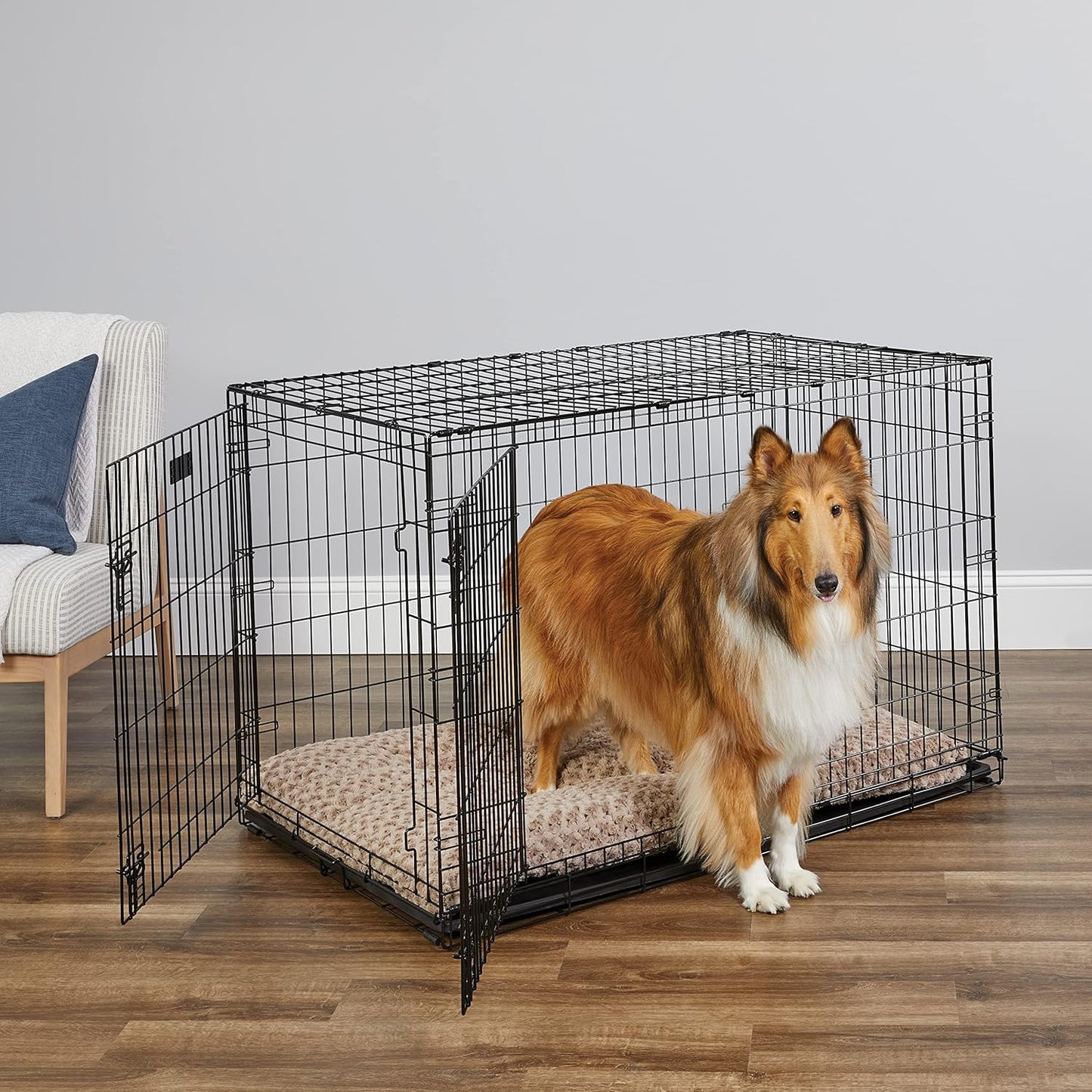 MidWest Homes for Pets 48-Inch Two-Door iCrate Folding Dog Crate with Divider Panel, Leak-Proof Tray & Secure Latches – Metal Wire Kennel for XL Breeds – Portable, Durable & Easy to Assemble