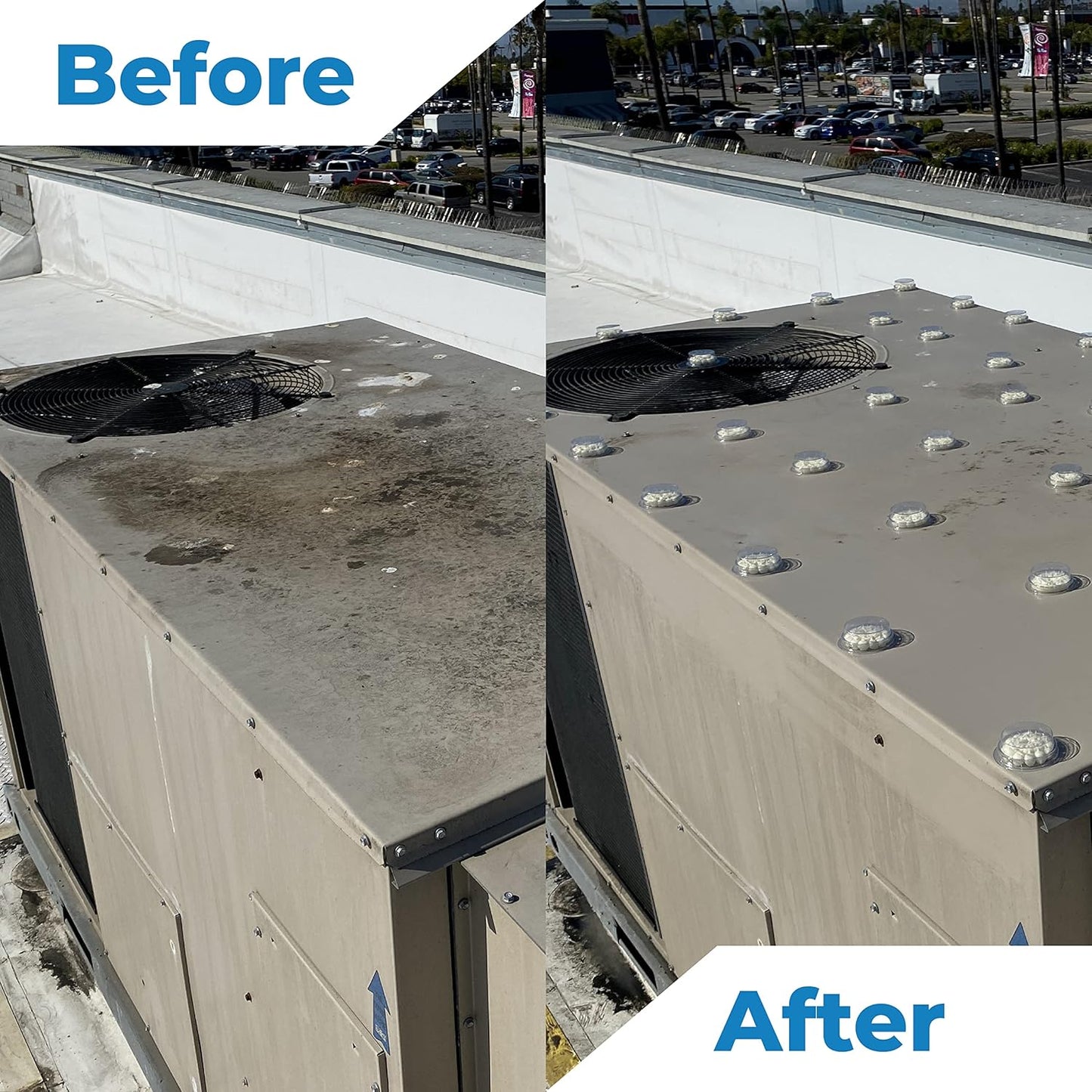 Bird Barrier Dissolve-It Enzyme Cleaner - Bird Dropping - Dissolves Waste – Treat Affected Areas Before Installing Bird Control Products - 5 Gallons Makes 10 Gallons