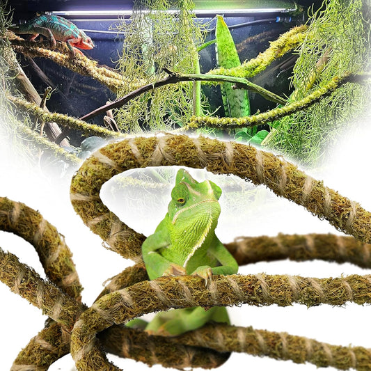 Duspro 6.5FT Reptile Vine & Moss Set for Climbing Bendable Branch, Natural Moss Rope Jungle Decor for Bearded Dragon, Chameleon Tank Accessories, Snake Gecko Lizard Terrarium