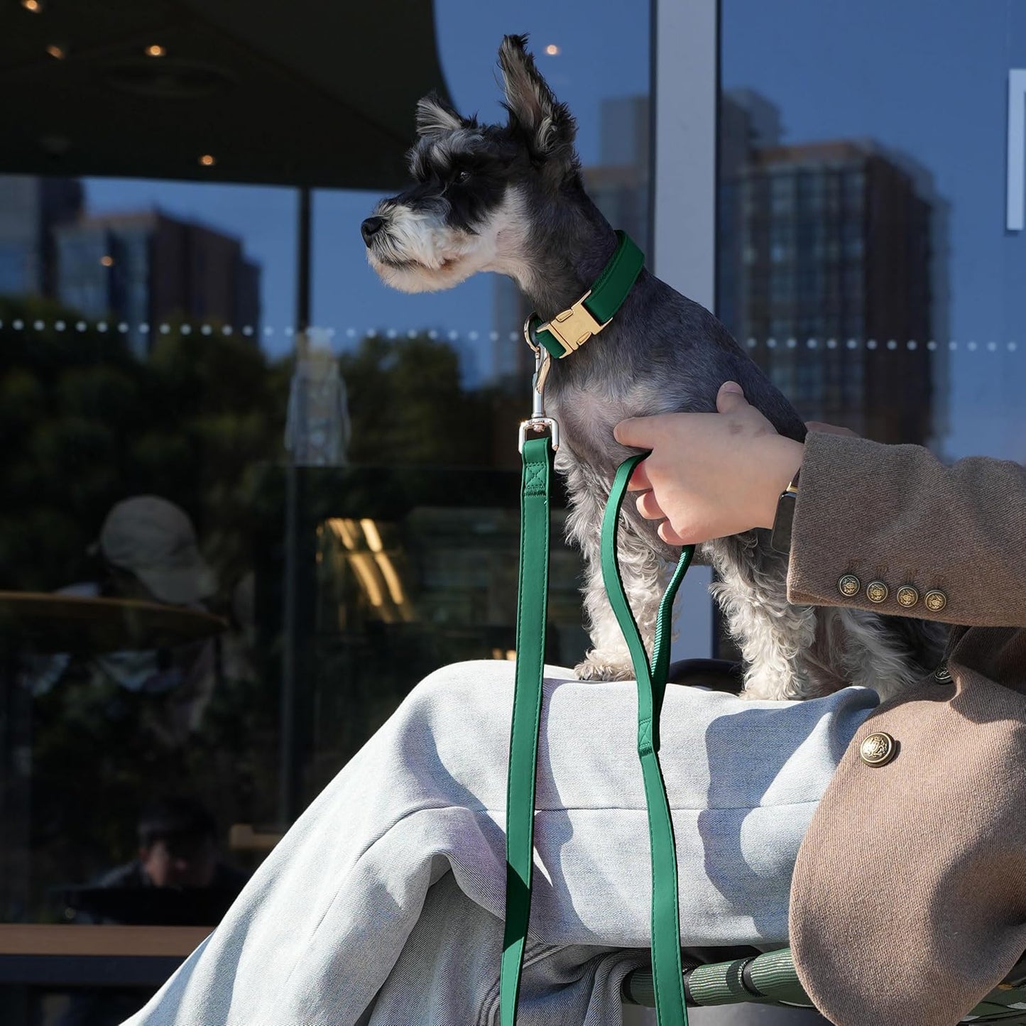 PET ARTIST Soft PU Leather Dog Collar, Bright Color & Durable Dog Collar Leather with Rose Gold Quick Release Metal Buckle, Adjustable Nylon Padded Pet Collars for Small Dogs, Neck Fit 9-14"