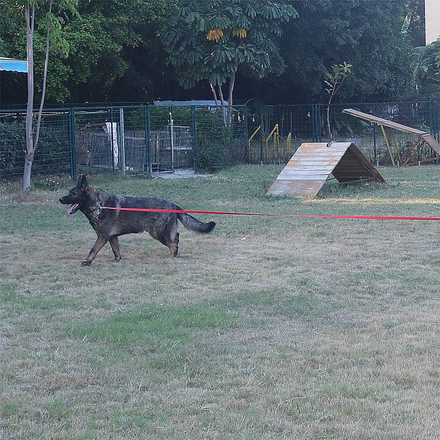 Dog/Puppy Obedience Recall Training Agility Lead - 15ft 20ft 30ft 40ft 50ft Training Leash - Great for Play, Camping, or Backyard - Rainbow 50ft (Rainbow, 50 Feet)