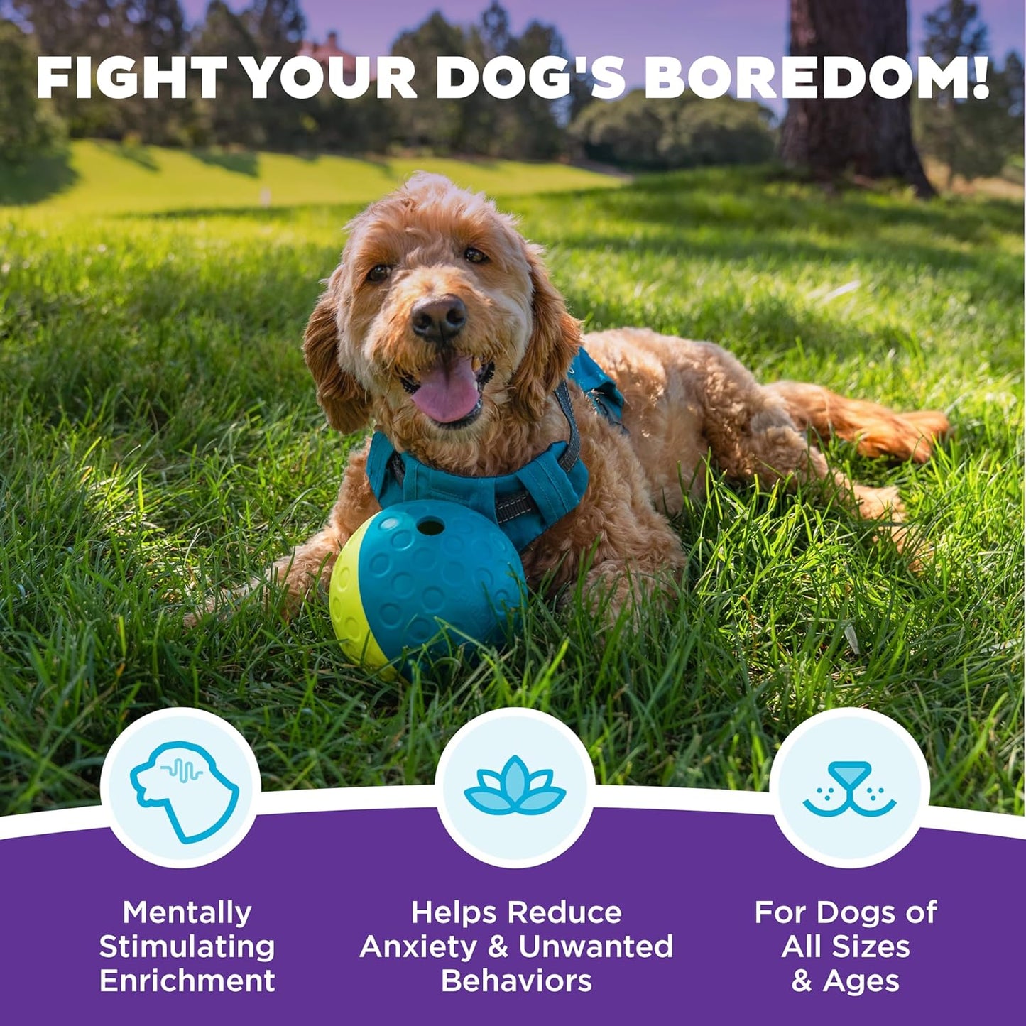 Outward Hound by Nina Ottosson Treat Tumble Interactive Puzzle Ball Dog Toy, Level 1 Beginner, Blue, Small (4.75" Diameter)