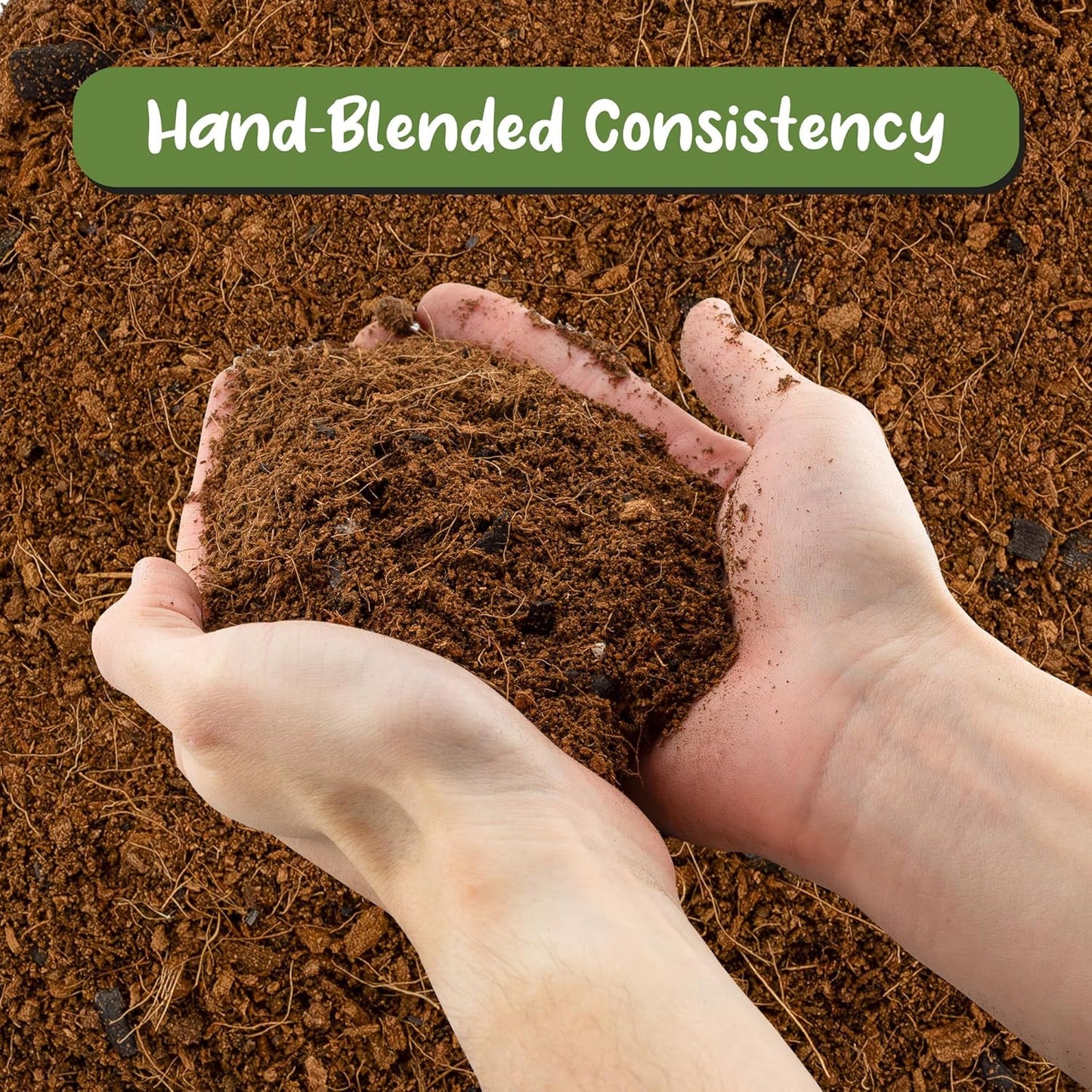 Terrarium Potting Soil Mix (8 Quarts), w/Blended Filtering Charcoal Custom Made for Terrariums