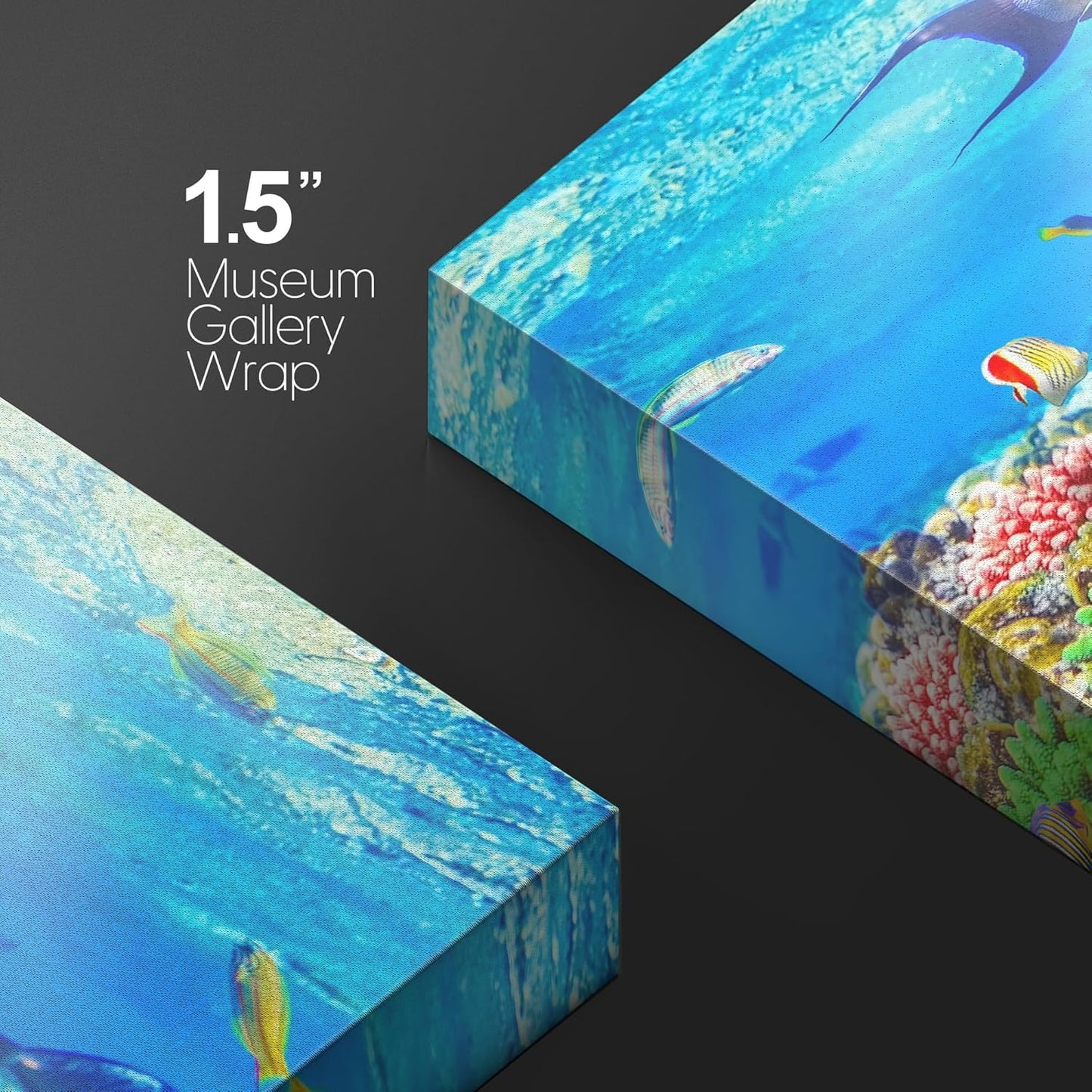 wall26 Canvas Print Wall Art Sunlight Ocean Sea Coral Reef Anemone Fish Nature Animals Photography Realism Rustic Scenic Landscape Wilderness Earth for Living Room, Bedroom, Office - 24"x36"