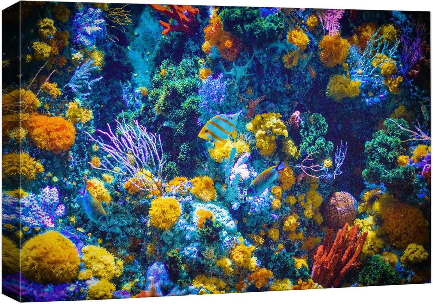 wall26 Canvas Print Wall Art Vibrant Neon Multicolor Anemone Coral Reef Nature Animals Photography Realism Rustic Scenic Landscape Wilderness Earth for Living Room, Bedroom, Office - 24"x36"