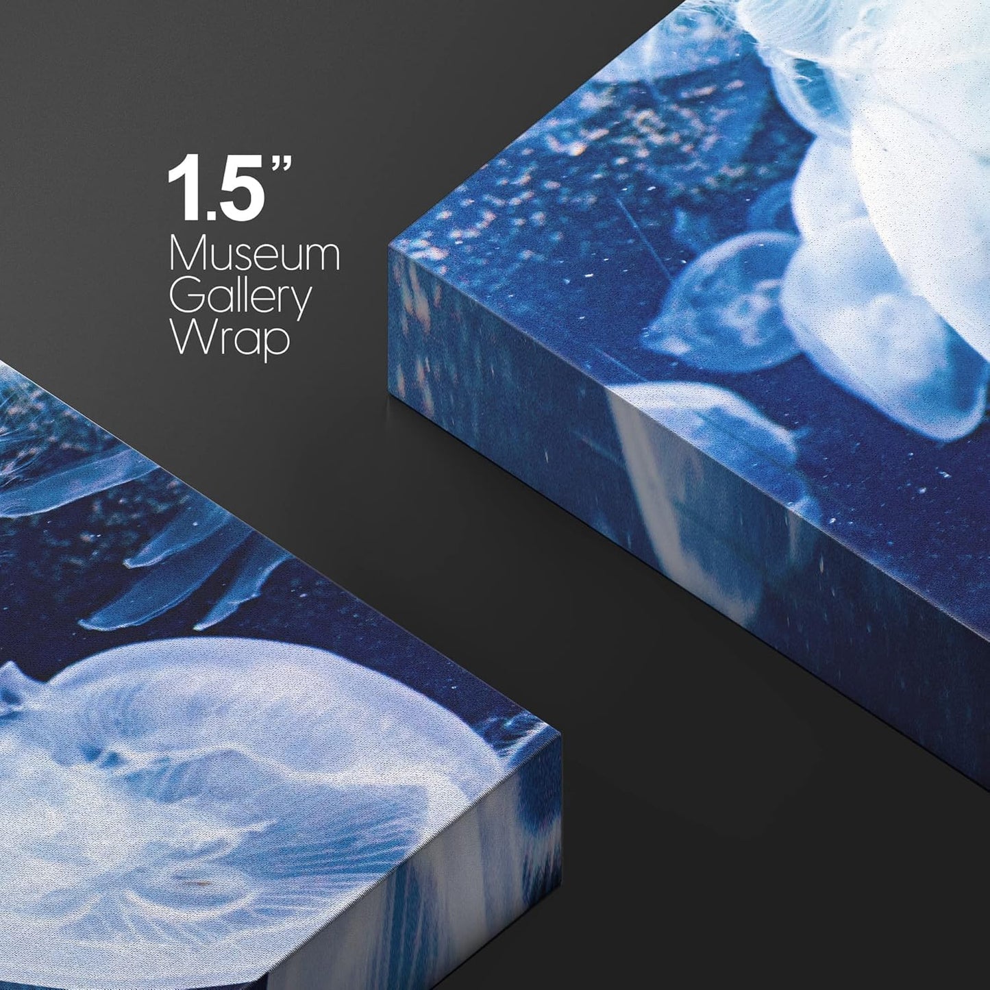 wall26 Canvas Print Wall Art Translucent X-Ray Tropical Ocean Jellyfish Nature Animals Photography Realism Rustic Scenic Landscape Wilderness Earth for Living Room, Bedroom, Office - 16"x24"