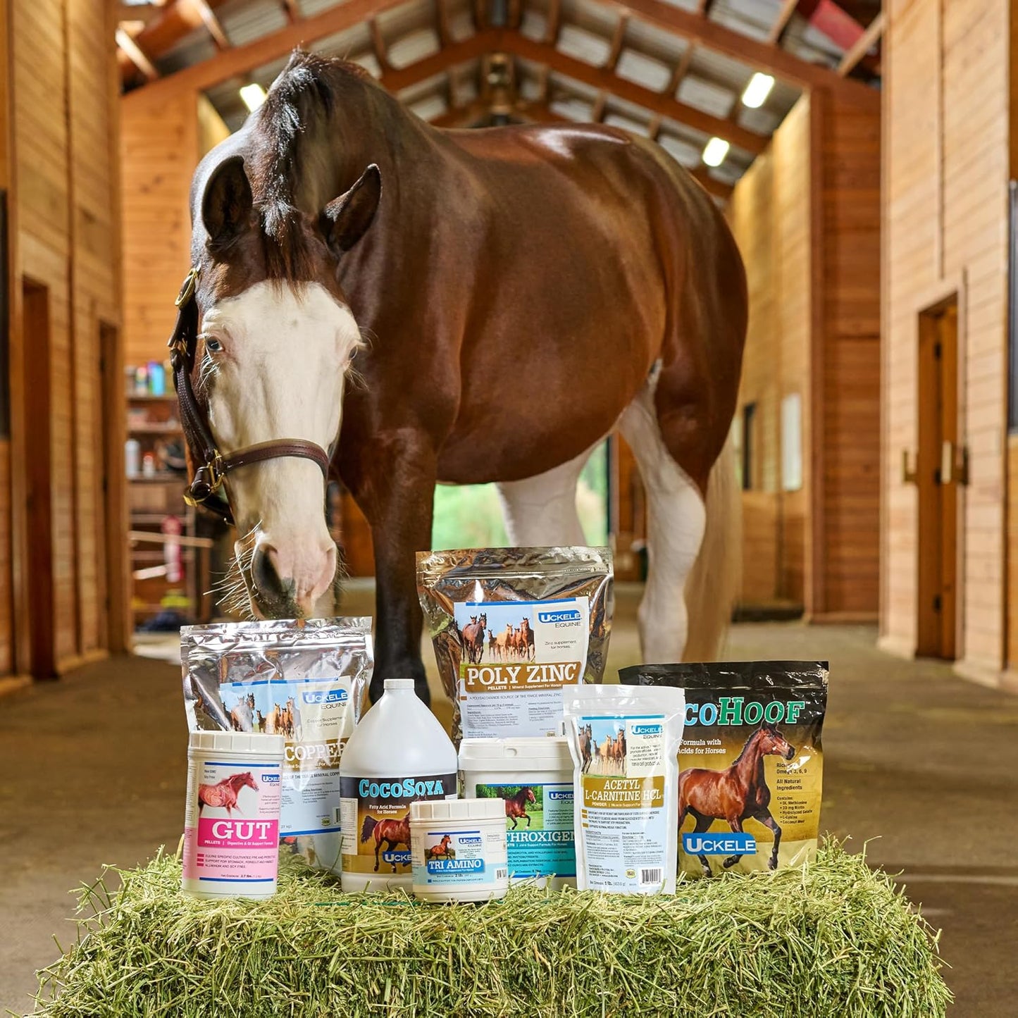 Uckele by SmartEquine CocoHoof | Hoof Supplements for Horses | Biotin for Horses Hooves | Horse Vitamins and Minerals Supplement | Provides Amino Acids, Fatty Acids and Vitamins | 12 LB