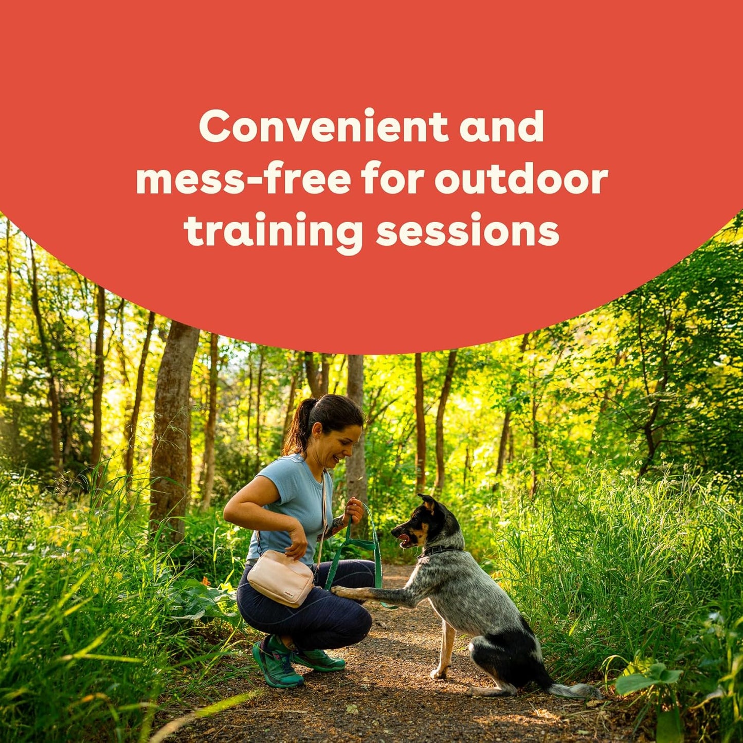 Pupford Soft & Chewy Training Treats for Dogs & Puppies (Beef, 5 oz)