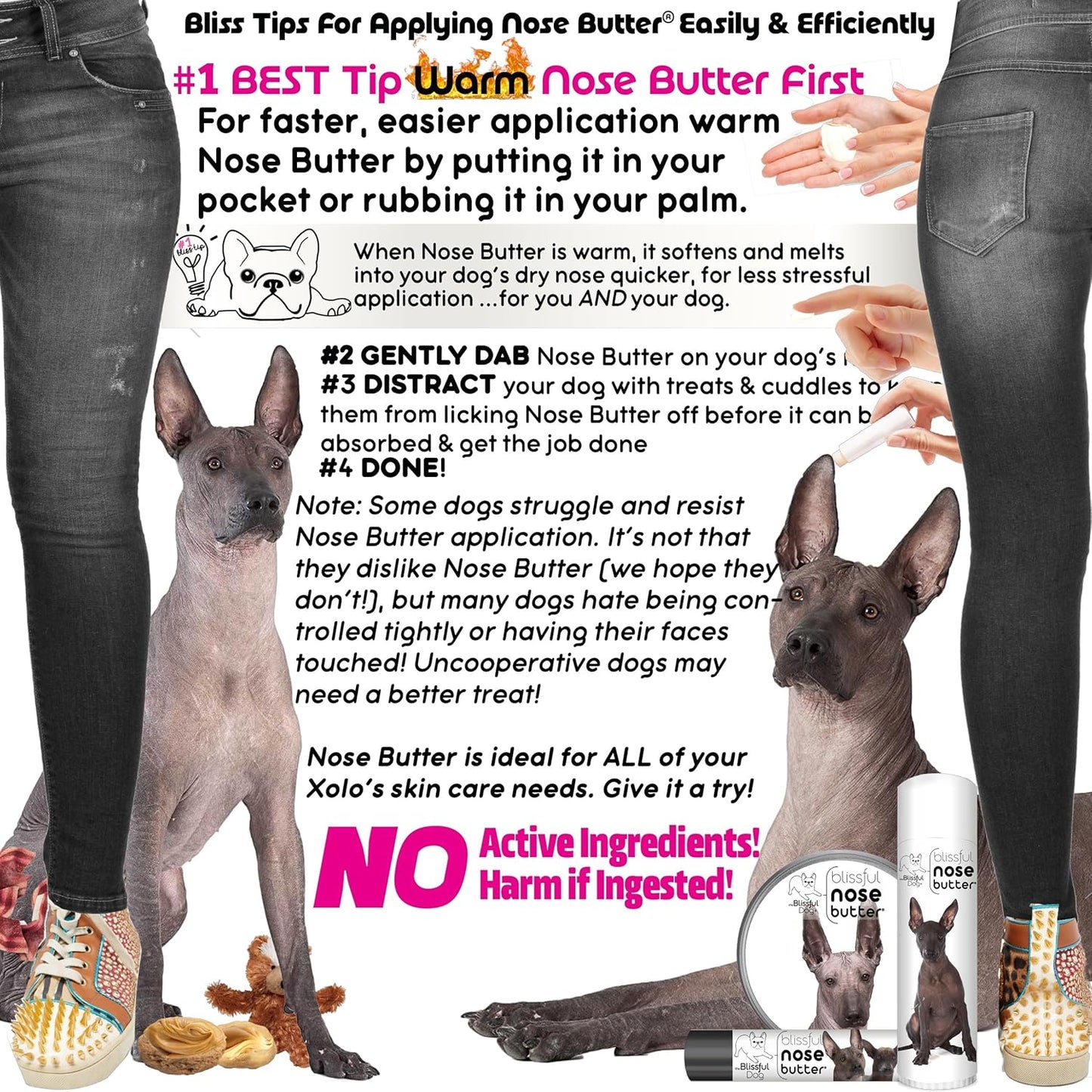 The Blissful Dog Xoloitzcuintli Nose Butter for Dry, Cracked Skin, Lick-Safe Dog Nose Balm with Moisturizing Shea Butter, Almond, Olive, and Essential Oils, Pet Supplies, Uncented, 8 oz.